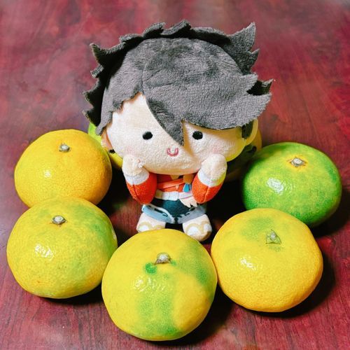 みかん買うたぜよ〜🍊