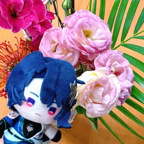 たまには花を見るのも良いだろう。