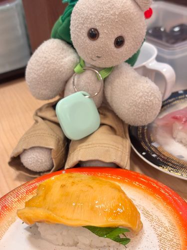 お〜〜ホヤ