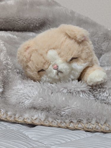 今日もﾌﾐﾌﾐ^_  ̫ _^ Ⳋ