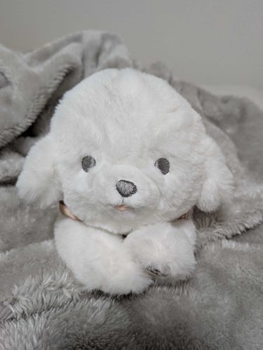 うちのコ紹介1️⃣ ﾐﾙｸ🐕️ 
ちょっぴり舌が出てるのがｷｭｰﾄ𐔌՞･·･՞𐦯♡