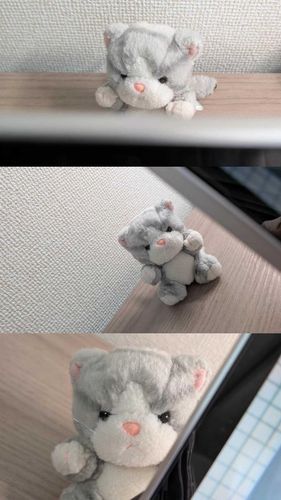 見つけた！！꜀(^. .^꜀ )꜆੭