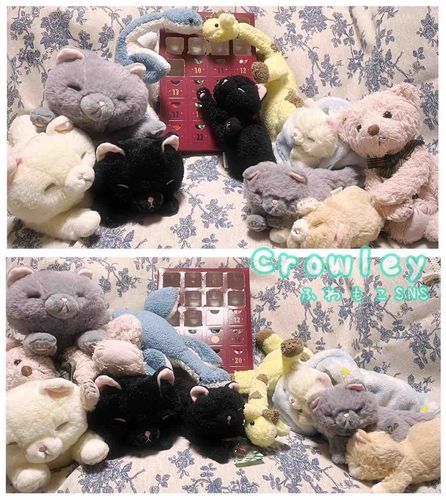 10にちめだにゃ〜ん
きりんのきりちゃんが10ぴきめだにゃ〜‼︎
きょうはまたまたほしのちょこ…
もっといろんにゃしゅるいがでてきてくれたら、うれしいのにゃ〜
しかたにゃいかぁ…💦