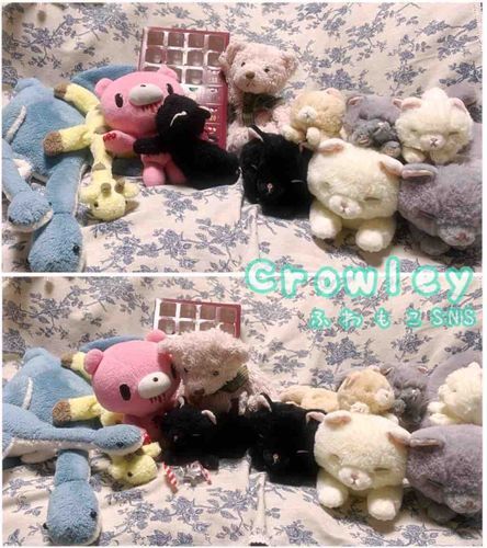 12にちめにゃ！
きょうはあにき(ぐるーみー)がきてくれたにゃん✨✨
やっとあにきがきてくれておれ、うれしいにゃ〜♫