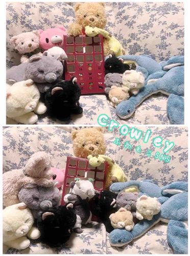 14にちめ〜　が、1にちおくれてしまったにゃ💦💦
おしゃしんはとってもらってたのに、ままさんがいそがしくてとうこうできにゃかったんだって…にゃ

きのうはありくいのアリがきてくれたんだにゃ✨
