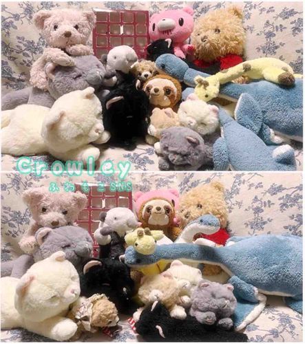 16にちめにゃ〜
って、ままさん！？ひがかわっちゃってるにゃ💦💦
えっ、まぁ、しかたないけと…

えと、きをとりにゃおして…ちいちゃにゃくまのすみちゃんがきてくれてますにゃん♫かわいいのにゃ✨