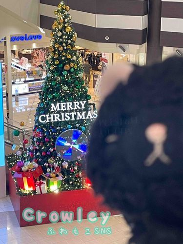 きのうはちょっとおかいものにいったら、おおきなツリー🎄があって、うれしくにゃったにゃん✨
クリスマスがちかづいてきたにゃ〜❣️