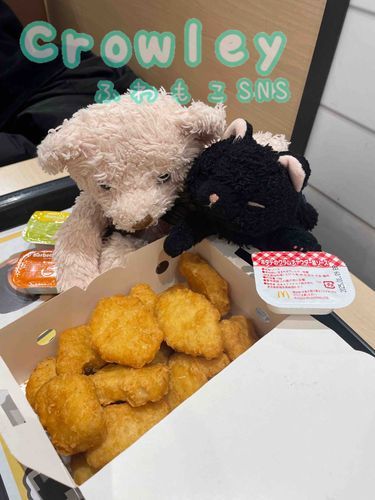 きょうはままさんとねむるとおかいものいってきたにゃ♫

あるきつかれていっぷく〜はマクドナルドで…のどがかわいたねってはいったはずにゃのに、おもわずかっちゃった✨✨ってにゃゲット15ピースもって、えがおでもどってきたままさんにおれ、おもわずばんざいしちゃったんだにゃ♪

たべきれにゃかったらもってかえろうねっていいにゃがら、ぜ〜んぶたべちゃったにゃん✨✨
おいしかったにゃん❣️