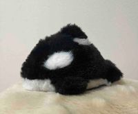 きょう