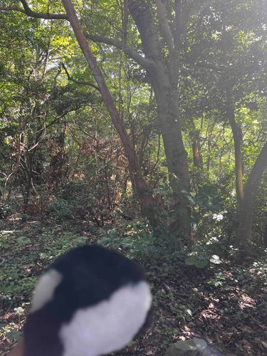 自然だね