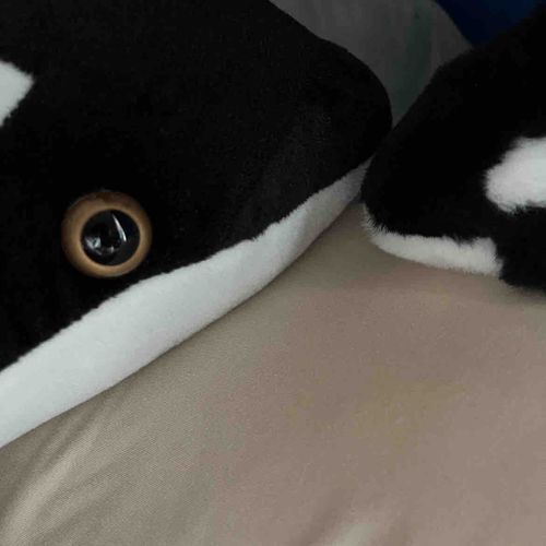 この子は、よなよなさん
とても大きくてどこにもいけないけど、いつもにんげんと一緒にねてるんだって。