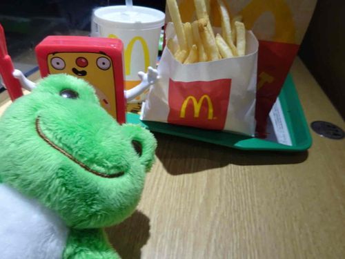やっほーあのねミントねこないだねおいしいポテト食べに行ったんだけどねお姉ちゃんにほとんど全部食べられちゃったの〜ミントももっと食べたかった〜