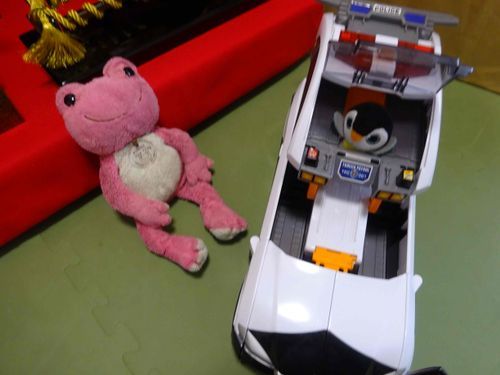 ぽんちゃん何してるの？
えっ遊んでるの？挟まってるのかと思ってしんぱいしたよ〜
