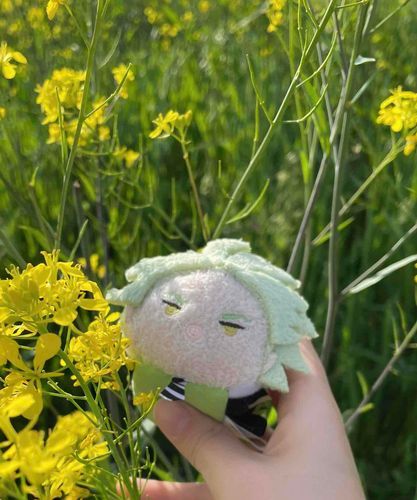 菜の花も綺麗だったな！