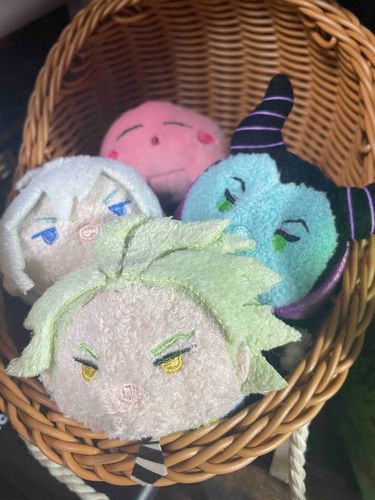僕たちの新しい寝床だ！！