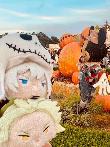 シルバーとディズニーランドに行ってきたぞ！