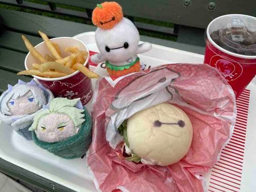 これは先日ディズニーランドに訪れた時の写真だ