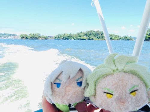 松島の遊覧船の旅はかなりの揺れだったが僕は平気だったぞ！
