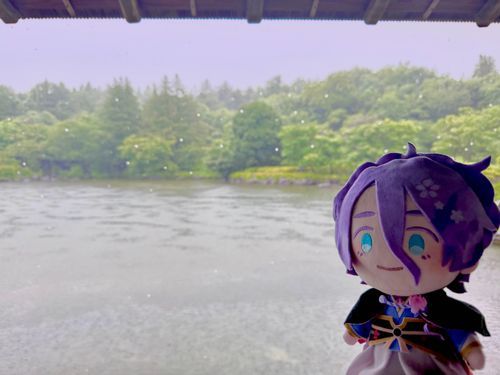 雨の庭も風流だね