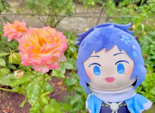 きれいなバラが咲いてるね