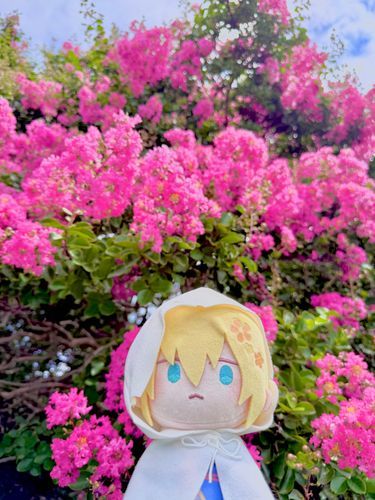 百日紅満開だね