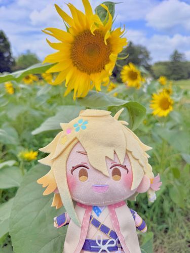 ひまわりきれいに咲いてるね