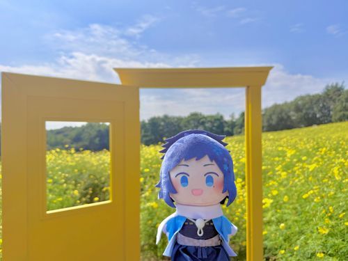 今日はすっごくいい天気だったね！