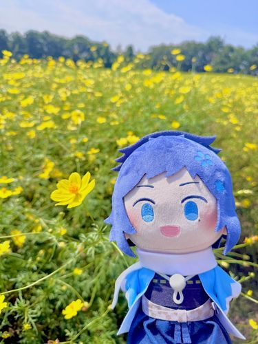 黄色のコスモス綺麗だね
