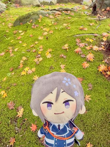 秋の庭