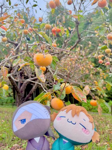 秋ですねぇ