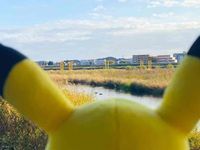 ひだまりちゃん