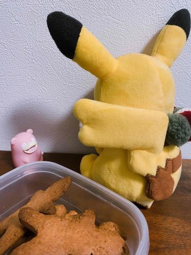 にんげんちゃん　ひだまりちゃんとたべたくて　くっきーをやいたんだって　
だいどころいれてあげられなくてごめんね　っていってるよ　○