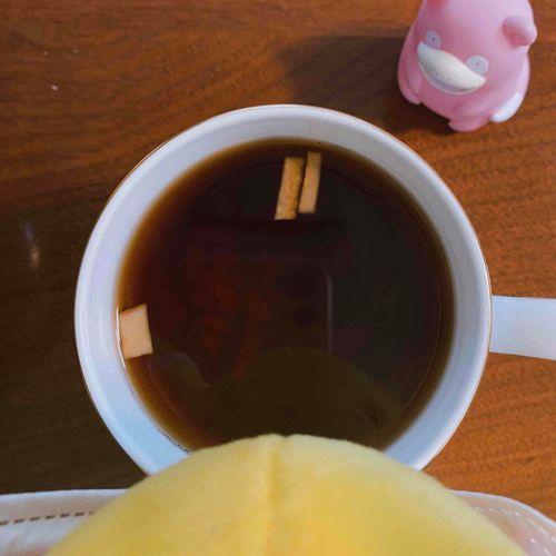 はちみつだいこんこうちゃ をのぞくとき　はちみつだいこんこうちゃ もまたこちらをのぞいている　らしい　○