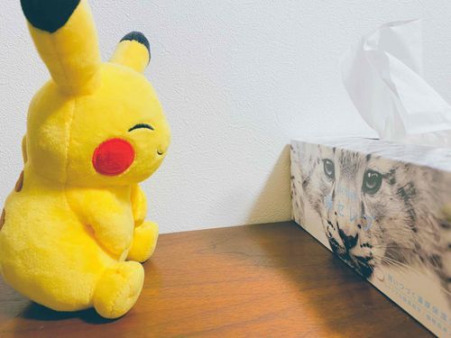 にらめっこは　ひだまりちゃんのまけ　○