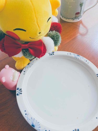 え　きょうはしゃしんだけ　？　くっきーはあしたから
　　　　そんな　　　　○ 