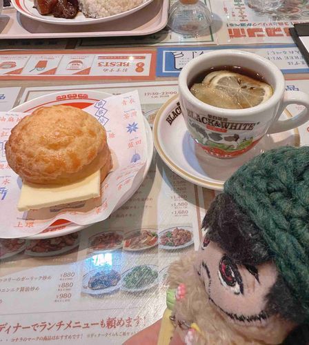 ぽーろーやおさんと　ぬいじゅんのおかお　どっちがまるいかなー