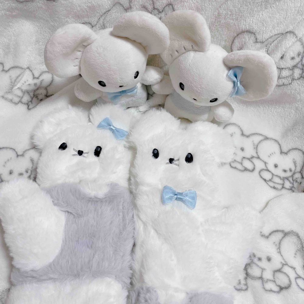 ネズミ手袋届きました📦

発売日の次の日に発送されてこんな早く受け取れるとは思ってなかったから嬉しい(泣)

手袋ネズミの胴体の長さが気になるマシュ。
並んでみて！って並んでみたら胴体の長さが際立つ😂

マシュとマロちゃんのリボンと同じリボンを付けよっかって話してるとこ！
