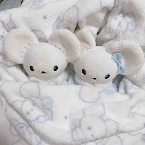 🐭GUのポケピースコラボのマシュマロワンピース
🐭マシュとマロの名前入ってるの
🐭あったかいねぇ
🐭昨日トレーナー誕生日だったの
🐭夜寒いからこれ着て一緒に寝よってマシュとマロをぎゅって抱っこしながら寝たんだよ〜