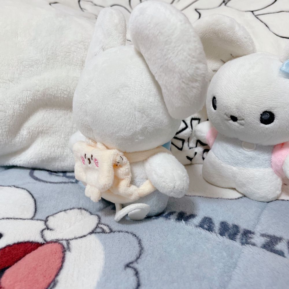 キャンドゥのぬい用リュック🎒

🐭マシュはネコさん
🐭マロはウサギさん

チロルチョコ１個入るくらいの大きさで可愛いよ👱‍♀️🤍🩵
