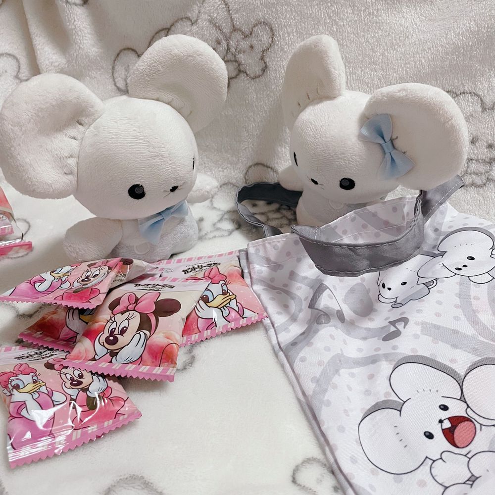 🐭トレーナーがお仕事に持って行くおやつ用意しなくちゃ！
🐭甘いのも入れないとね！