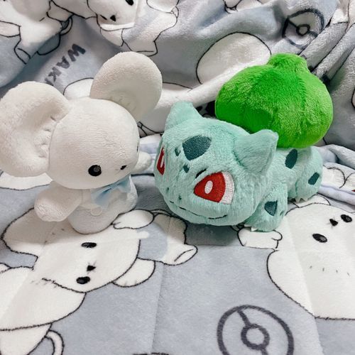 🐭カントー地方のお話また聞かせてね!
🌿ダネダネ!