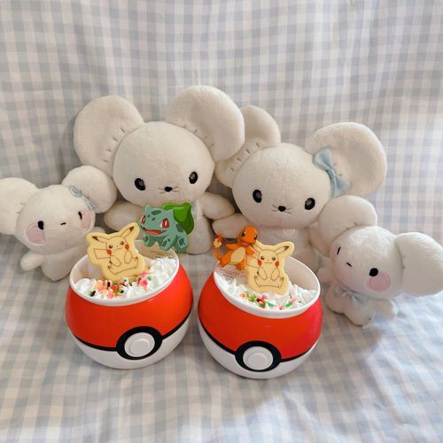 🐭🐭🐭🐭夏はポケモン！