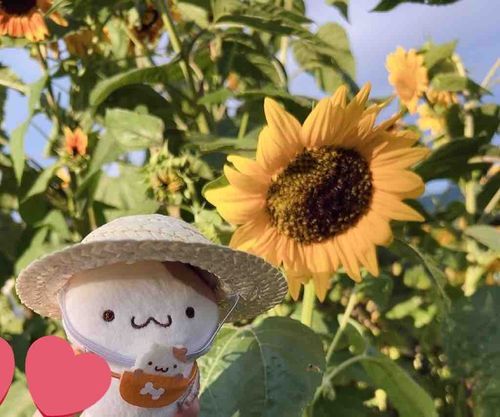 なつたのしいね🌻🛟
