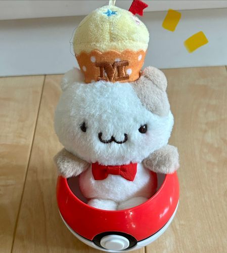 こんなところにポケモンが…⁉️