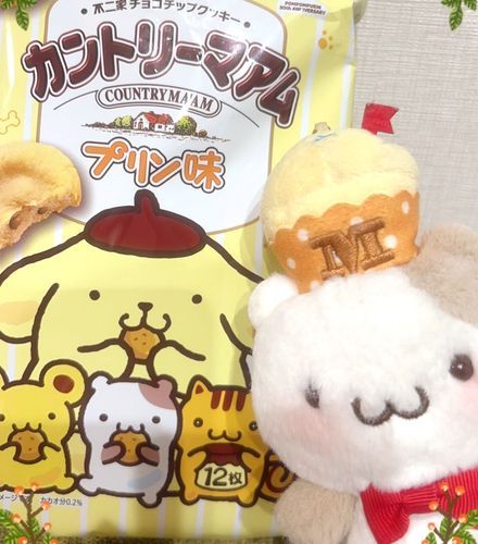 プリン味だってーー⁉️∪ •  ·̫  • ∪
