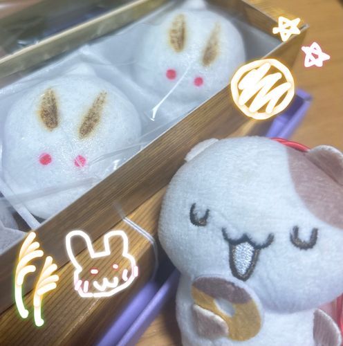 うさぎだ🌕🐇🌾❣️❣️