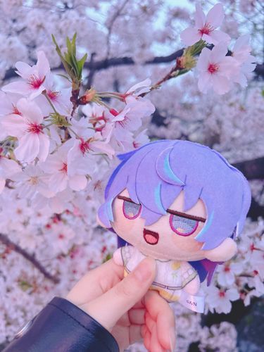 さくら きれい ですね 〜
まる も うるわしい でしょう ？
らいねん も おはなみ いきましょうね
やくそく ですよ