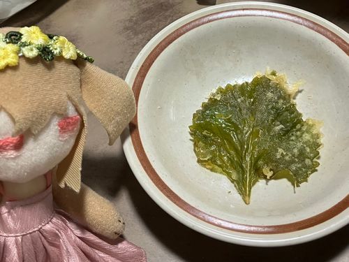 シソ天ぷらだよー