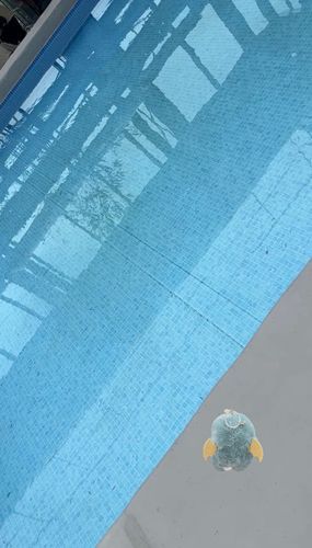 かいぬしは さ
ごうせい するの すごく へたくそ だよね
むりしなくて いいと おもうよ