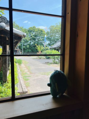 こいが いるよ
およいでないね